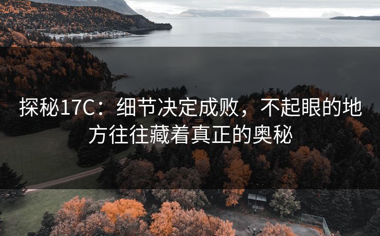 探秘17C：细节决定成败，不起眼的地方往往藏着真正的奥秘