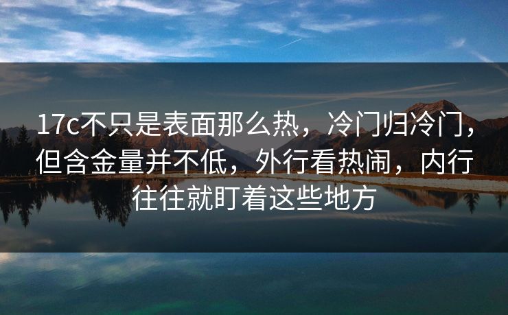 17c不只是表面那么热，冷门归冷门，但含金量并不低，外行看热闹，内行往往就盯着这些地方