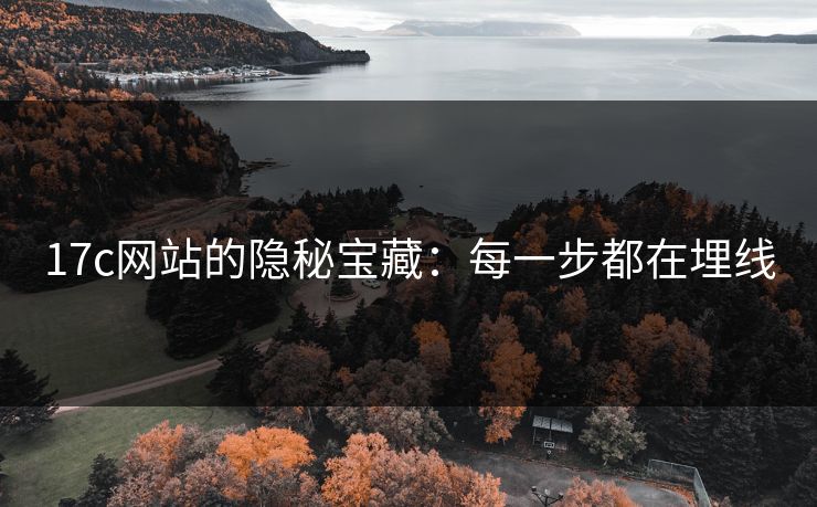 17c网站的隐秘宝藏:每一步都在埋线