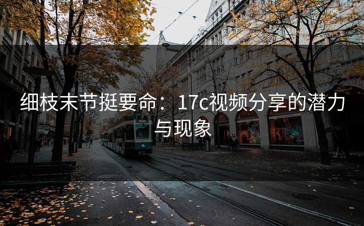 细枝末节挺要命：17c视频分享的潜力与现象