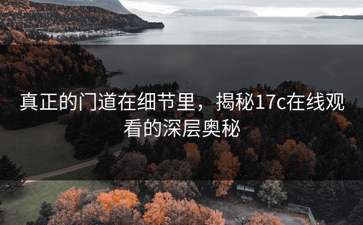 真正的门道在细节里，揭秘17c在线观看的深层奥秘
