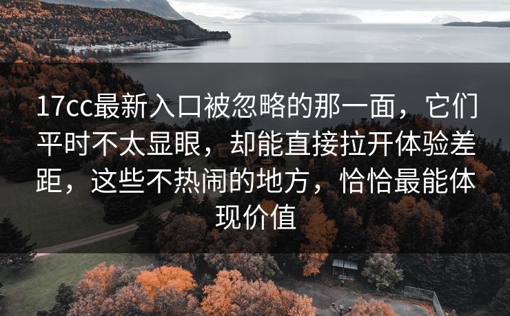 17cc最新入口被忽略的那一面，它们平时不太显眼，却能直接拉开体验差距，这些不热闹的地方，恰恰最能体现价值