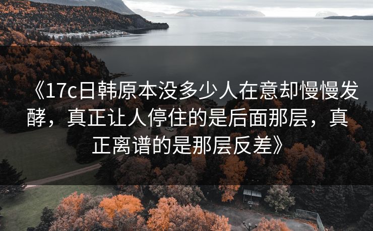 《17c日韩原本没多少人在意却慢慢发酵，真正让人停住的是后面那层，真正离谱的是那层反差》