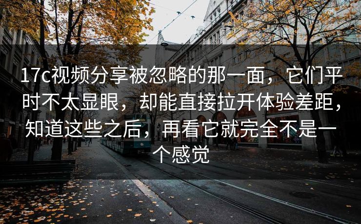 17c视频分享被忽略的那一面，它们平时不太显眼，却能直接拉开体验差距，知道这些之后，再看它就完全不是一个感觉