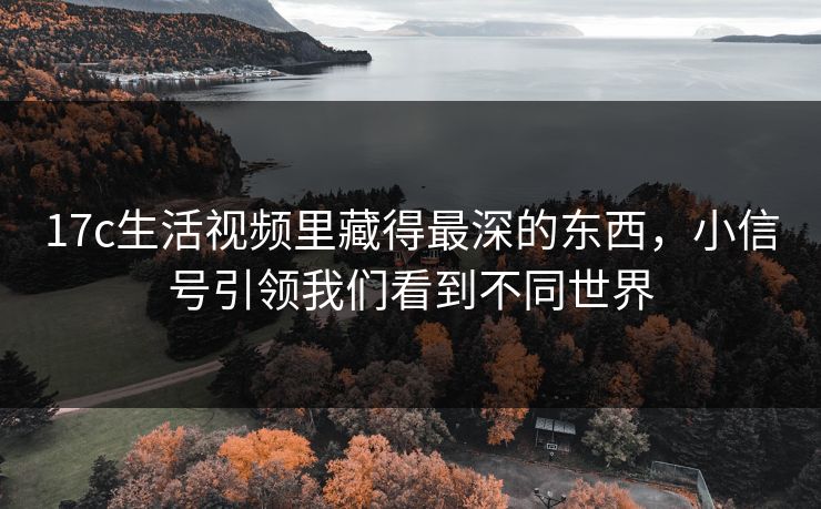 17c生活视频里藏得最深的东西，小信号引领我们看到不同世界