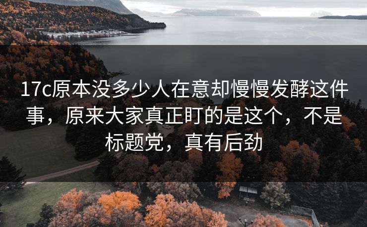 17c原本没多少人在意却慢慢发酵这件事，原来大家真正盯的是这个，不是标题党，真有后劲