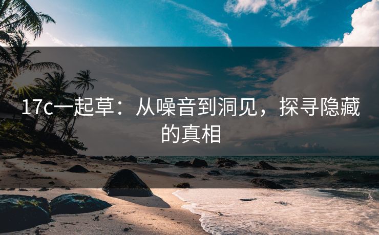 17c一起草：从噪音到洞见，探寻隐藏的真相